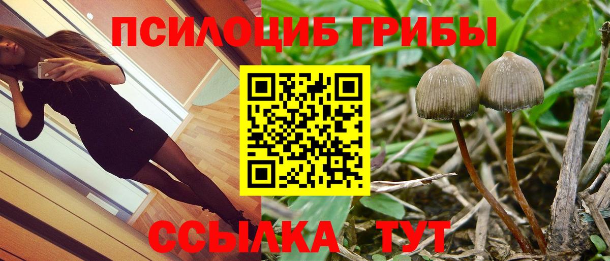 Галлюциногенные грибы Psilocybe  Вход с VPN  Нерюнгри 